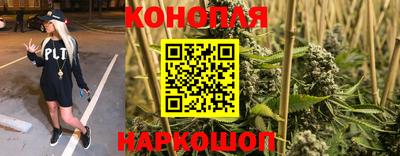 ALPHA-PVP Партизанск