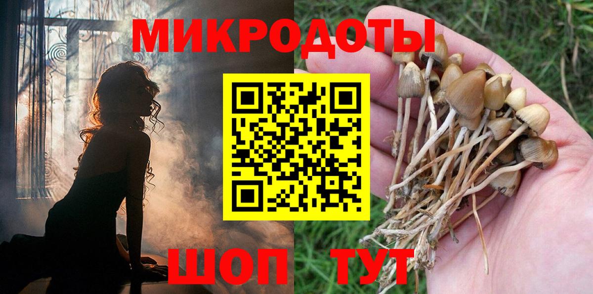 Похвистнево  Галлюциногенные грибы мицелий  Вход с VPN  Галлюциногенные грибы прущие грибы 